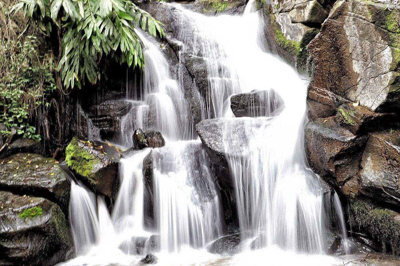 A photograph of Oloolua Nature Trail