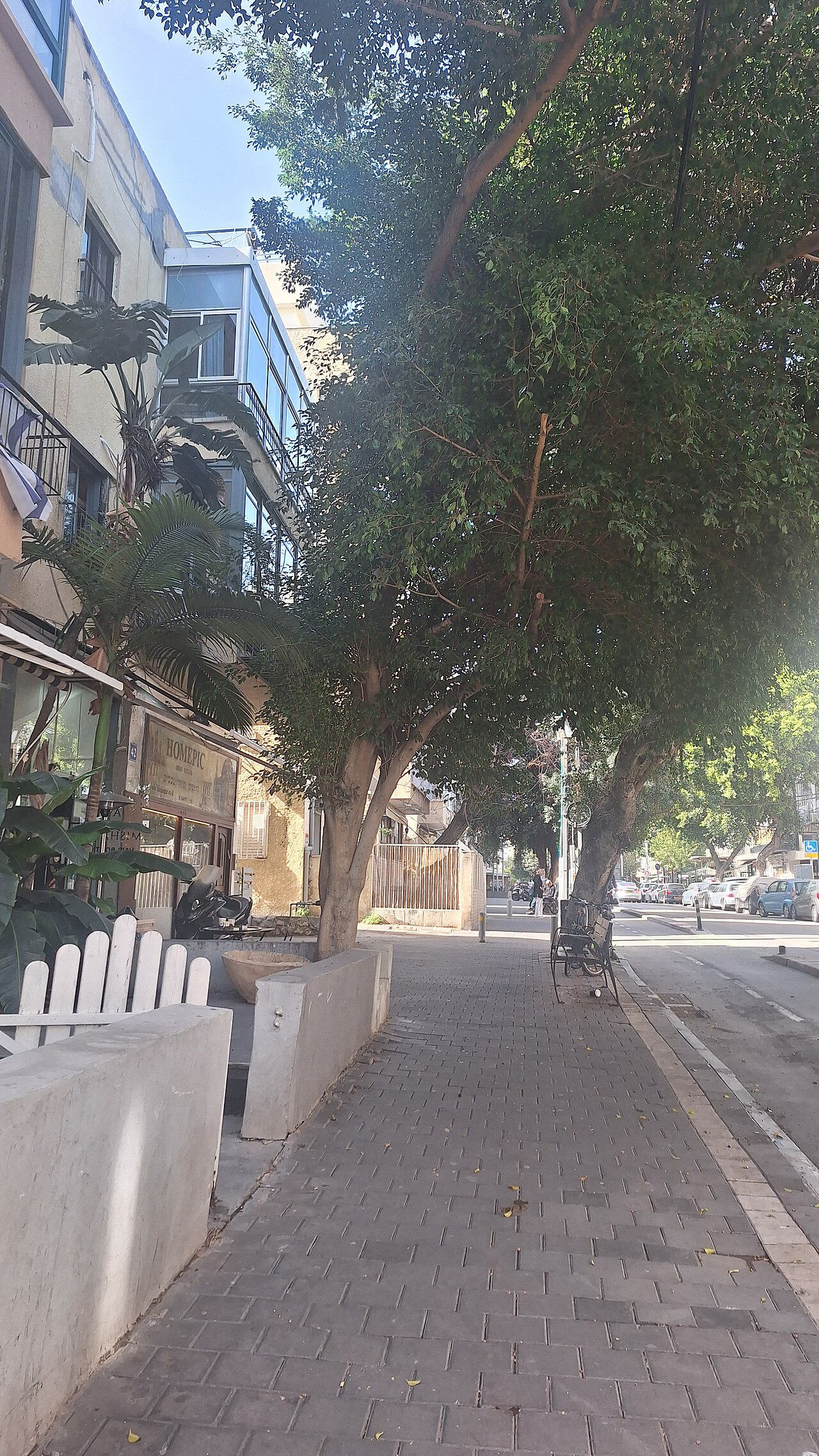 The Great Synagogue of North Tel Aviv fotoğrafı