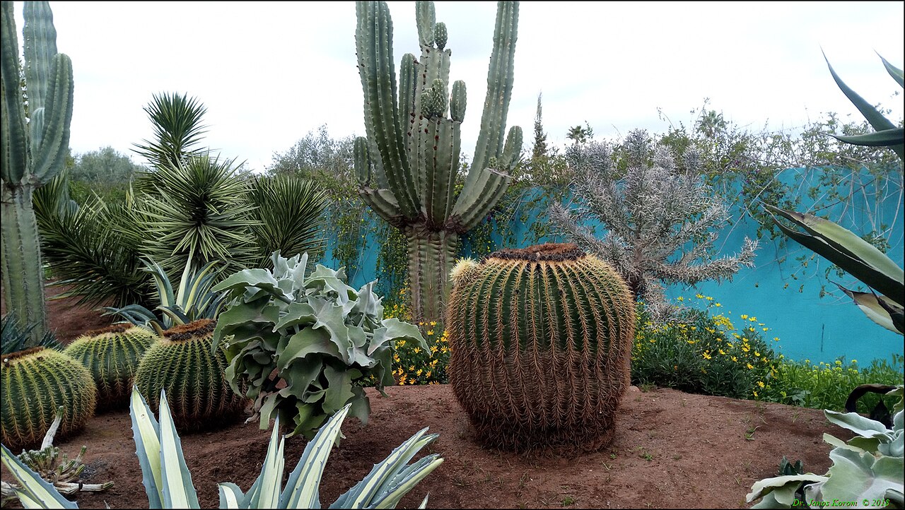 A photograph of ANIMA Jardin