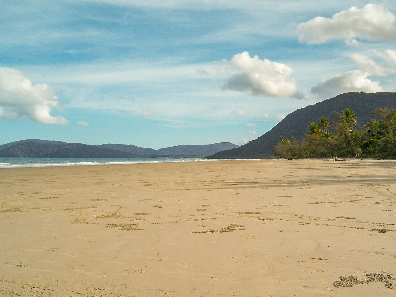 A photograph of Daintree Park