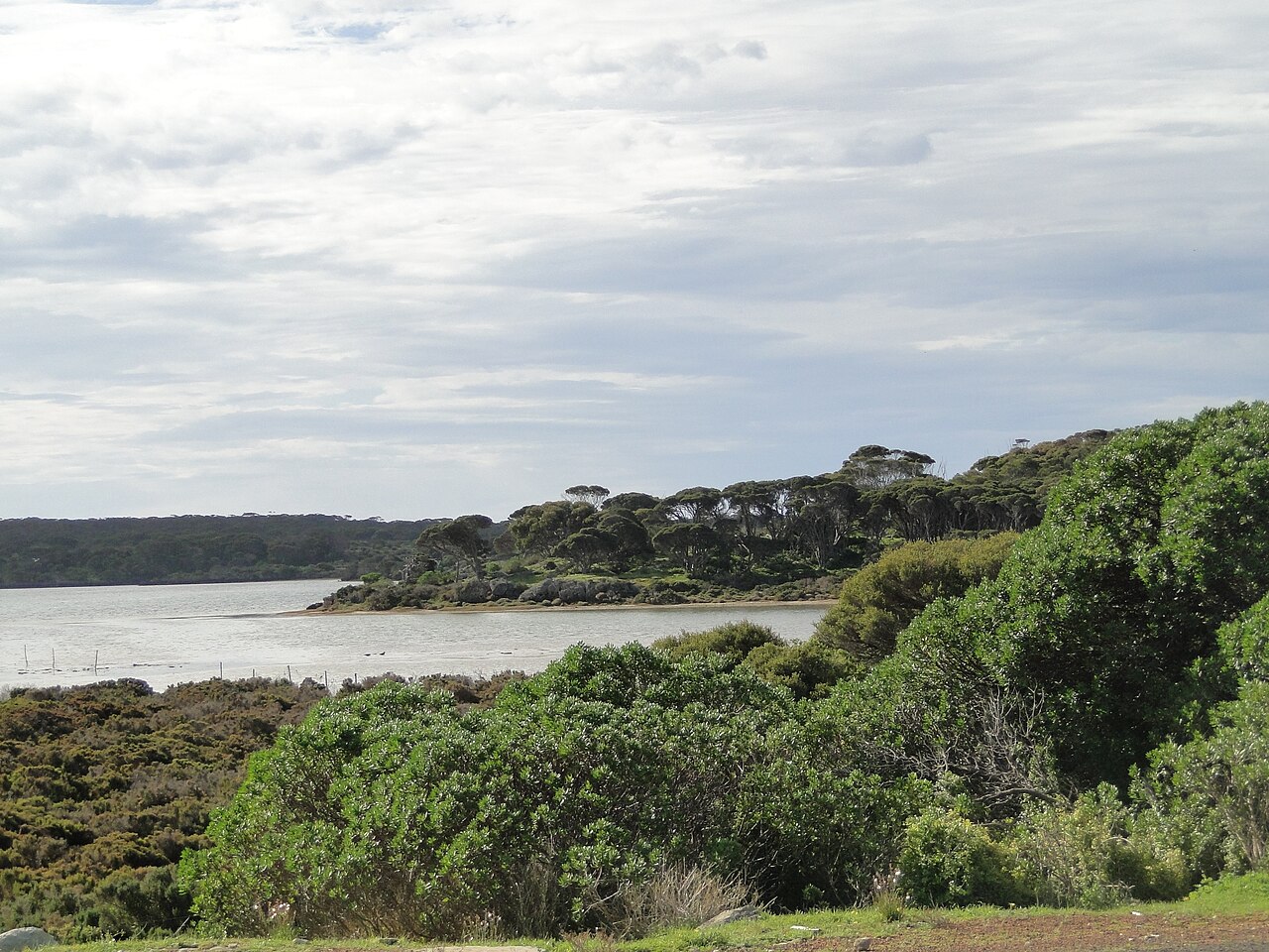 A photograph of The Lagoon Conservation Area