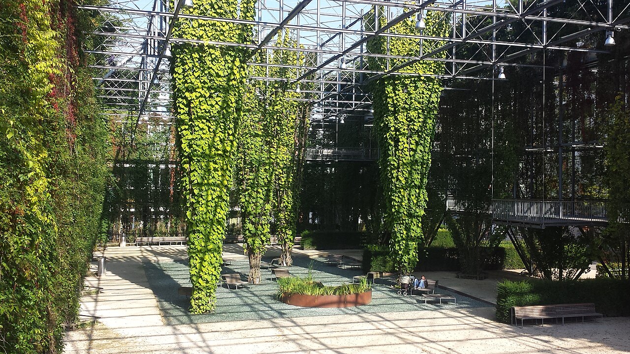 Ein Foto von MFO-Park