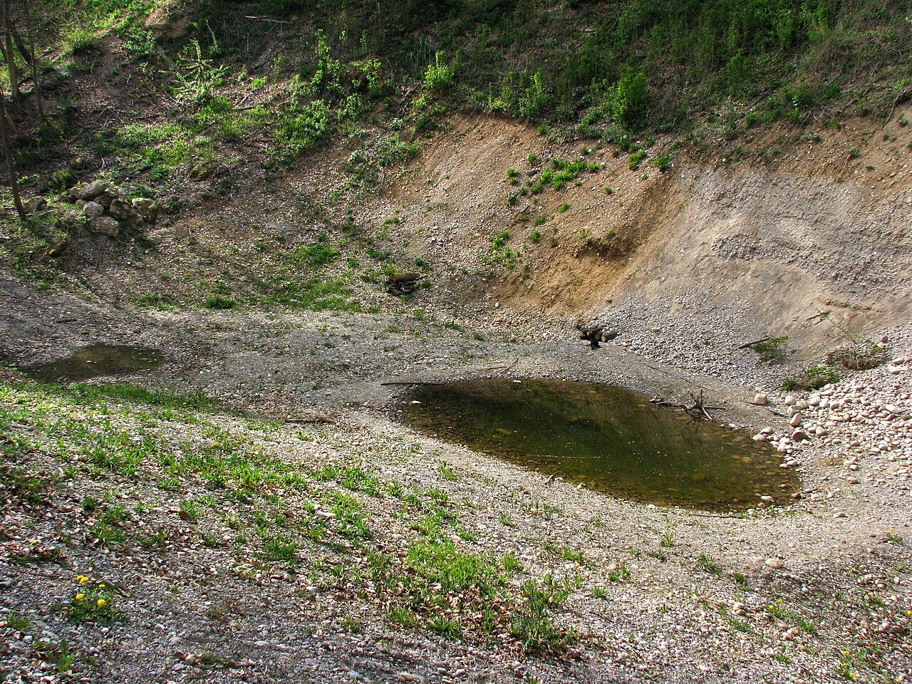 Una fotografia di Gubrist