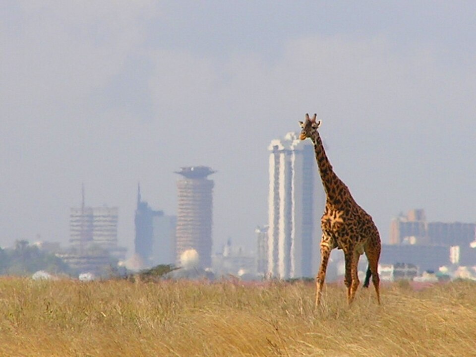Nairobi Millî Parkı