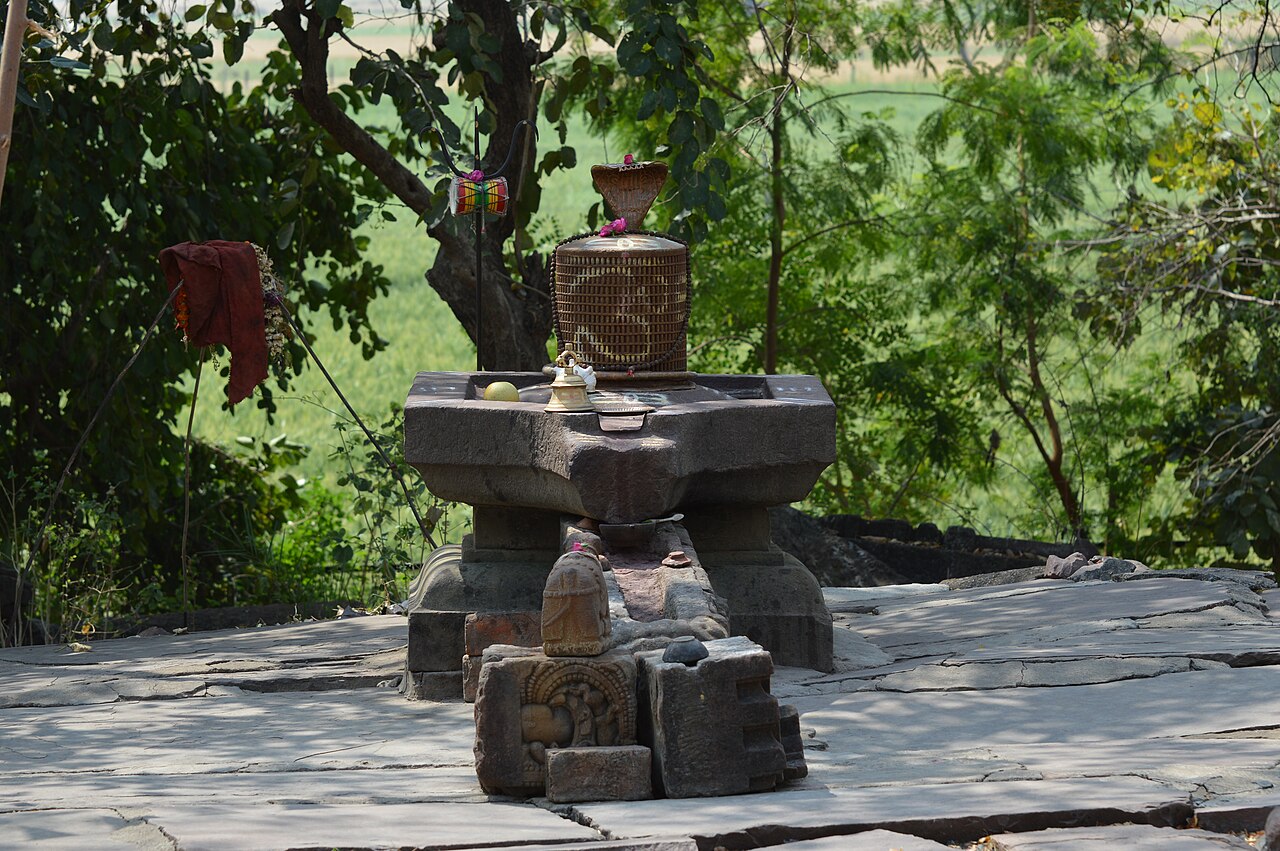 Lingam fotoğrafı