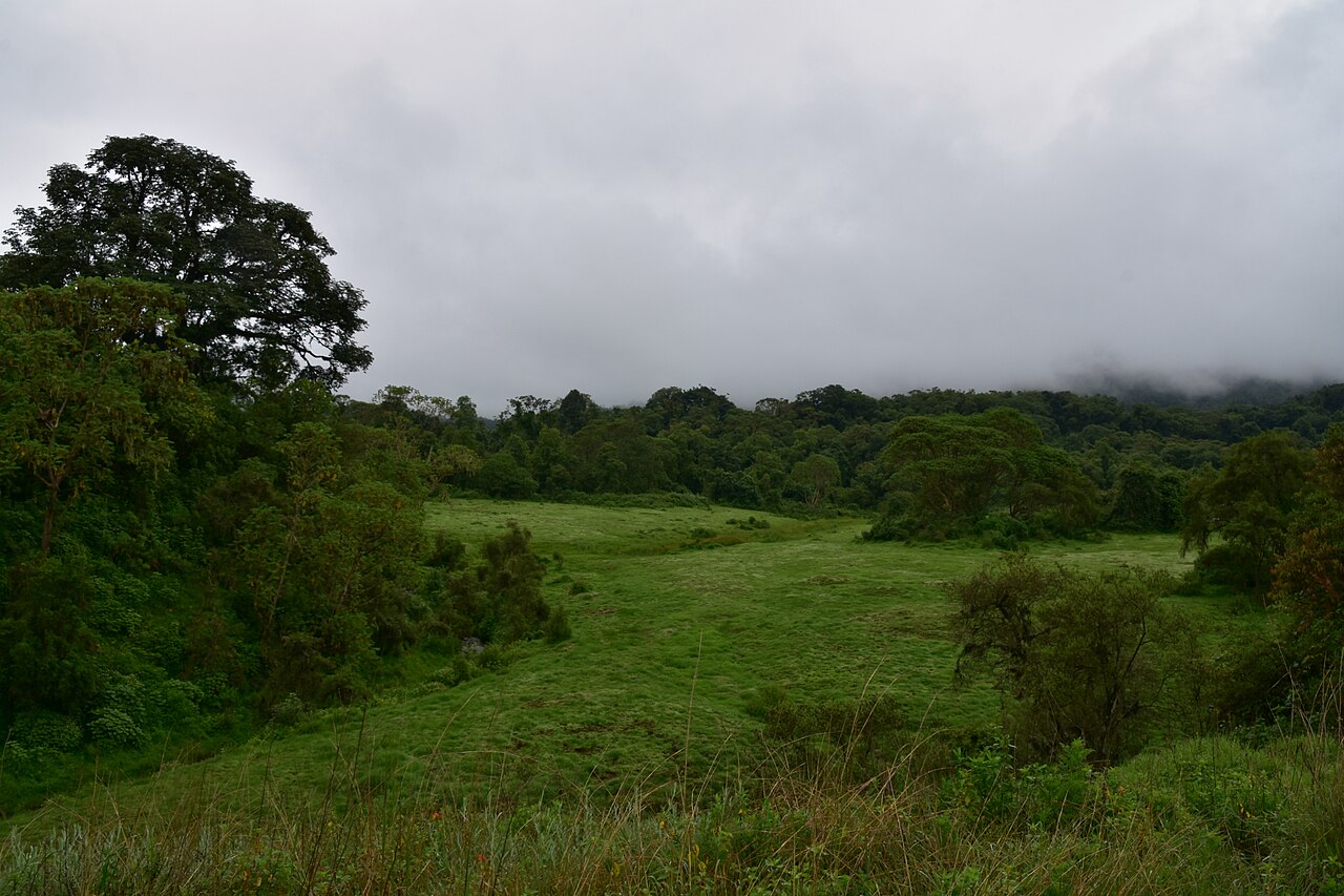 Bale Park fotoğrafı