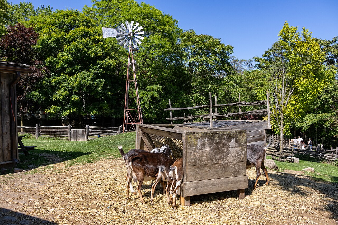 A photograph of Riverdale Farm