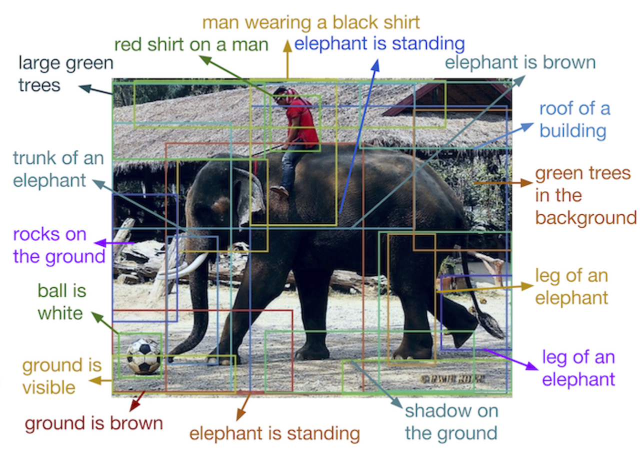 Elephant riding fotoğrafı