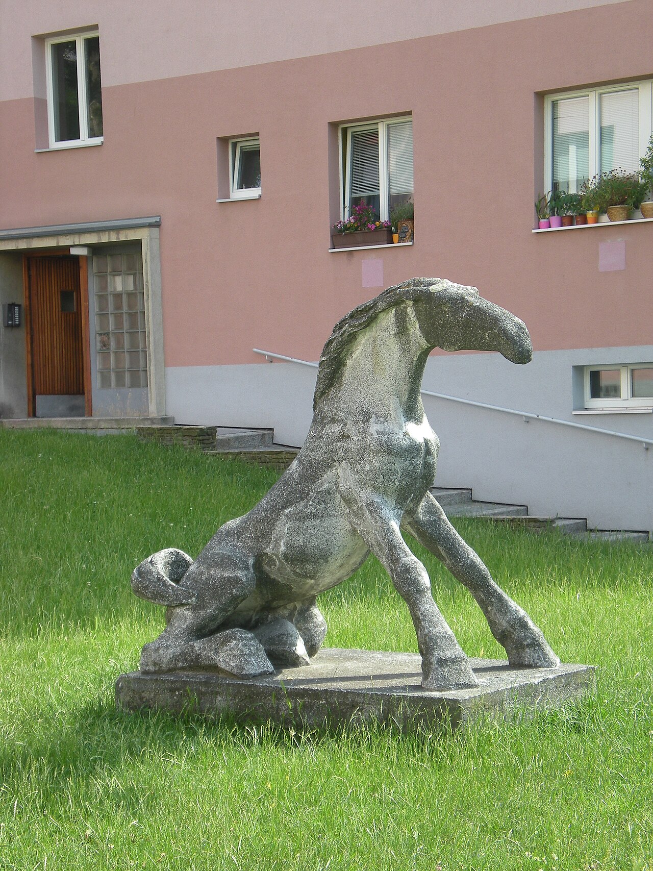 Aufspringendes Pferd