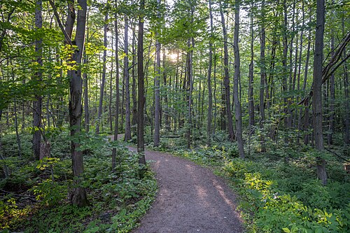 Base recreativa al aire libre de Sainte-Foy