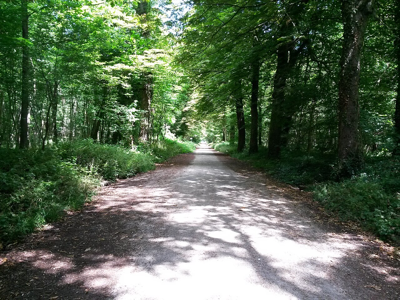 A photograph of Bois de Vincennes