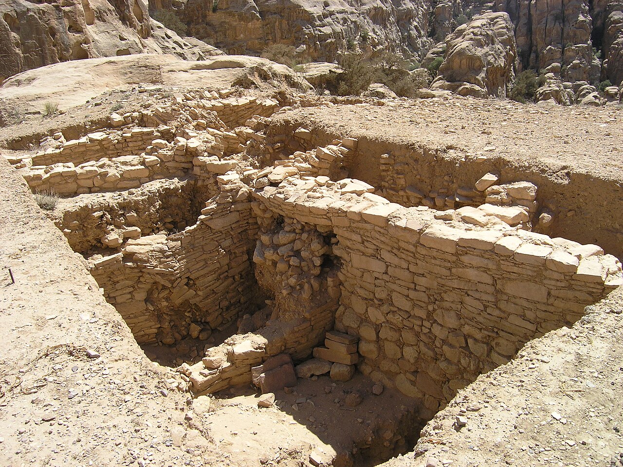 صورة بعجة