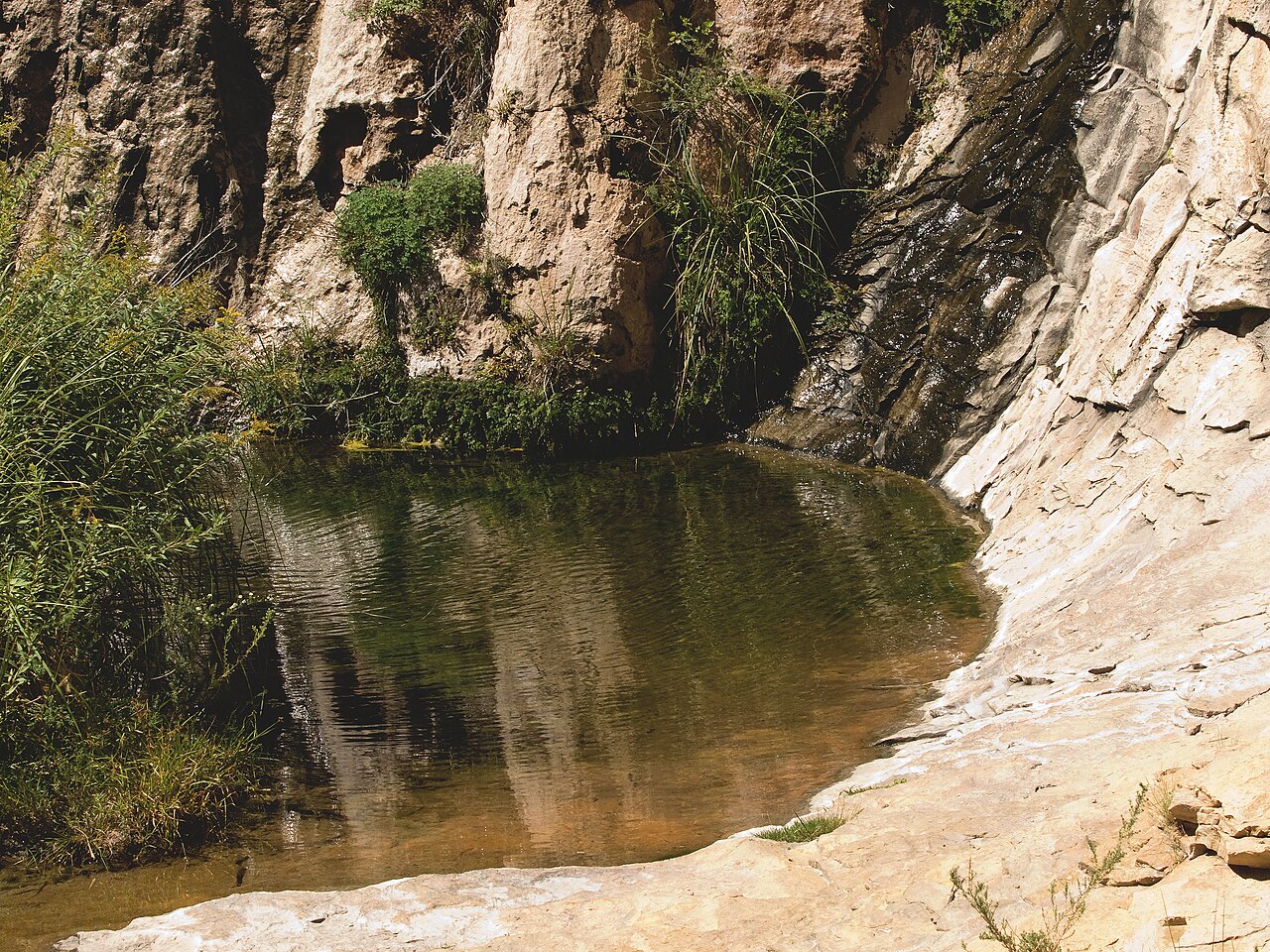 Bull Falls fotoğrafı