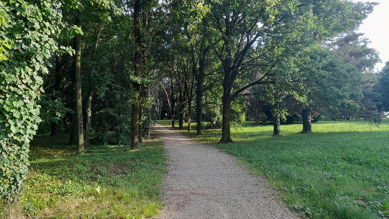 Pace Parkı