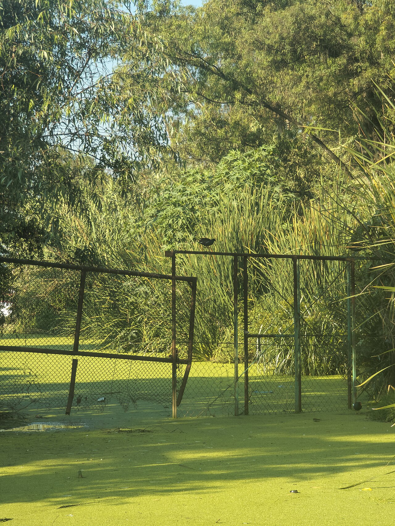 A photograph of Unidad Deportiva