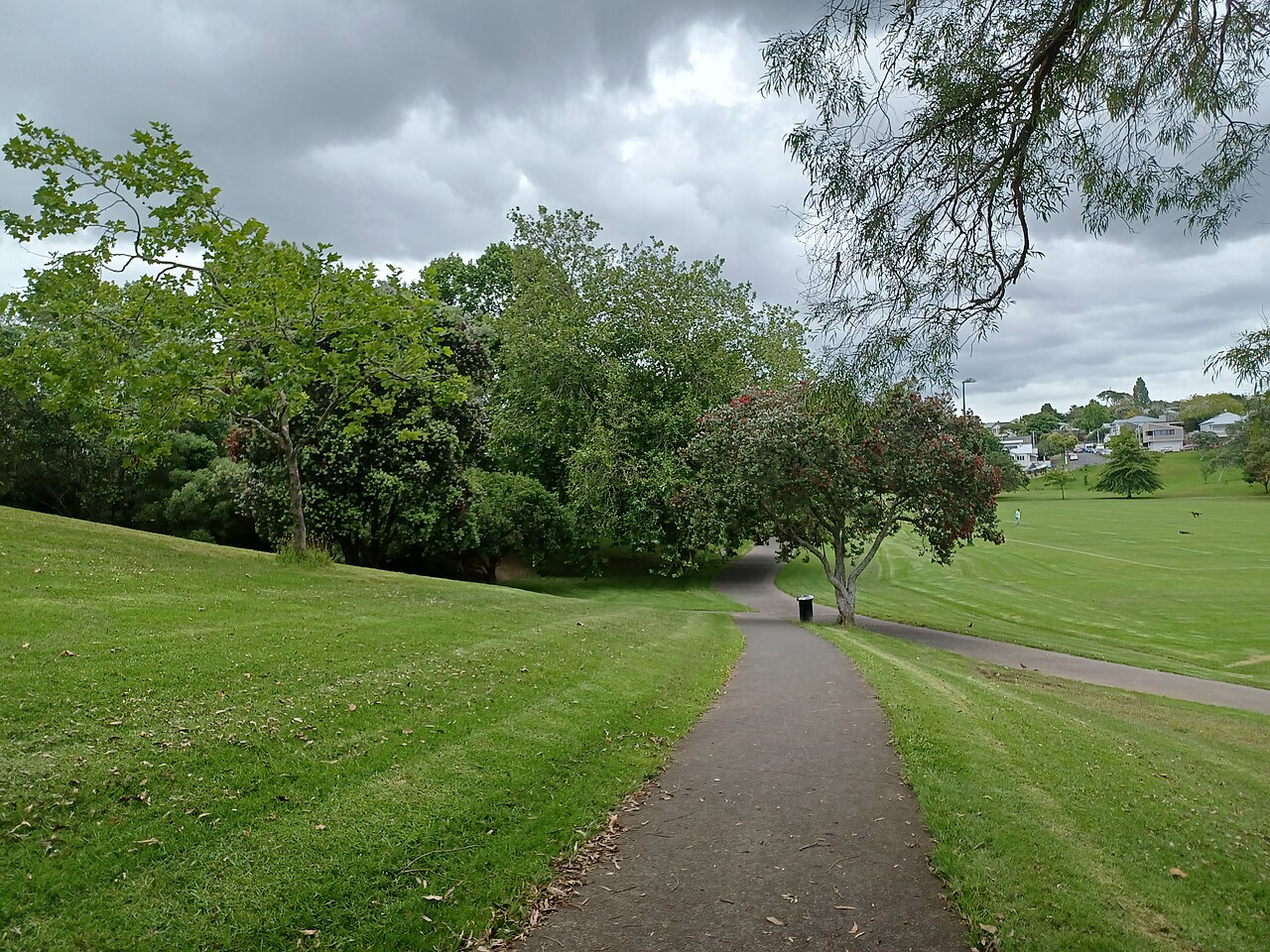グレイ・リン公園 の写真