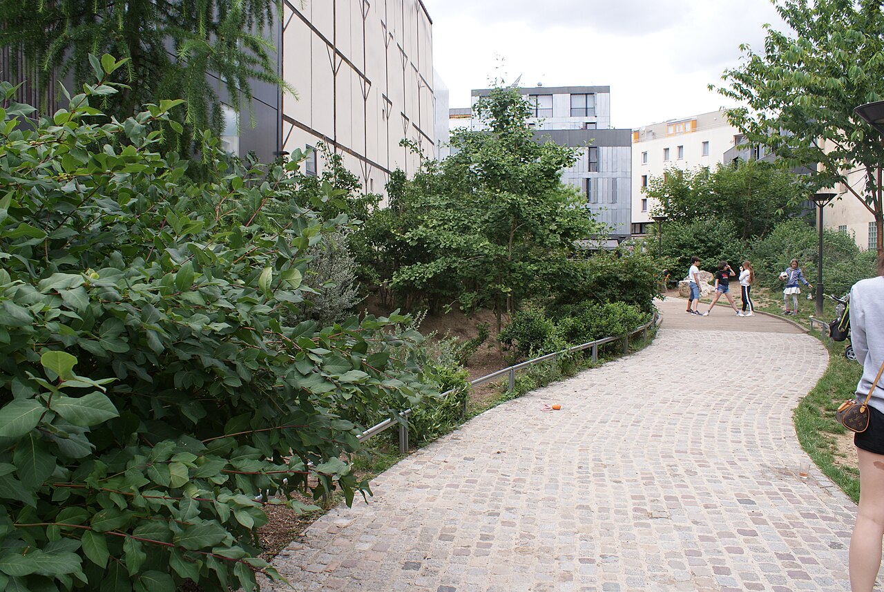 jardin de Vitaly