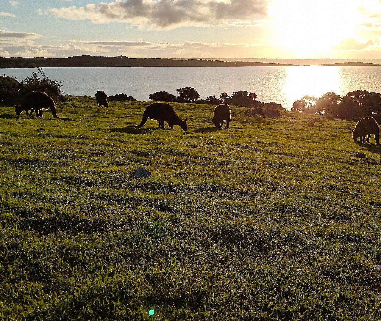 A photograph of The Lagoon Conservation Area