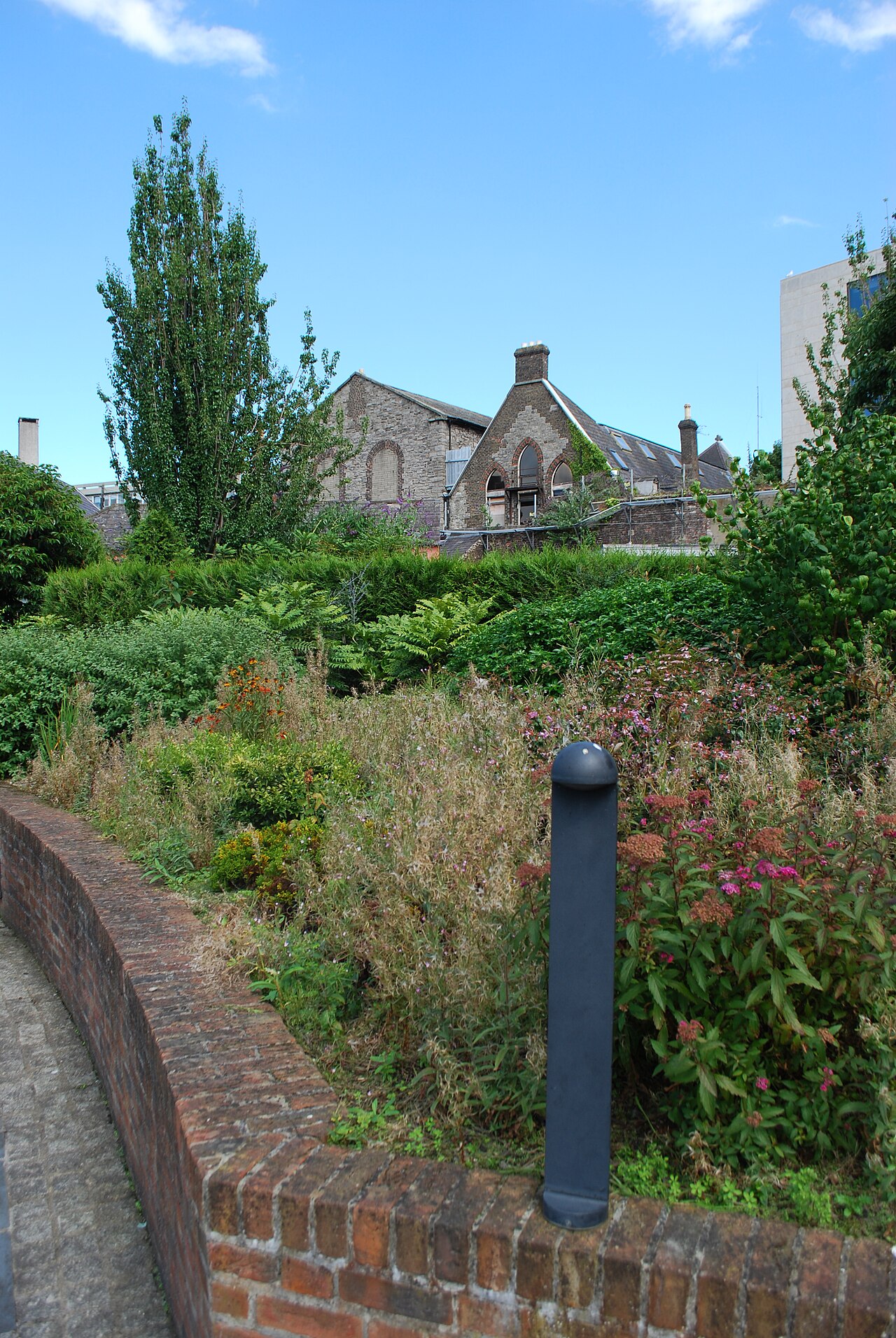 Ein Foto von Dubh-Linn-Garten