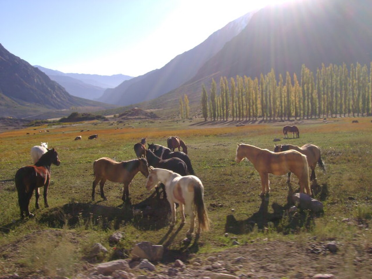 A photograph of Maipo Canyon
