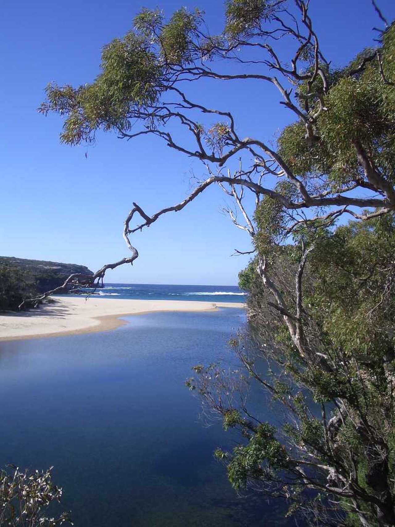 Una fotografia di Royal National Park