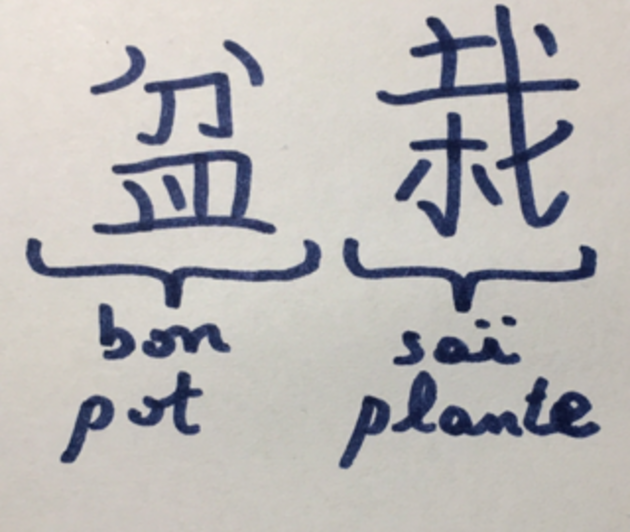A photograph of BONSAI
