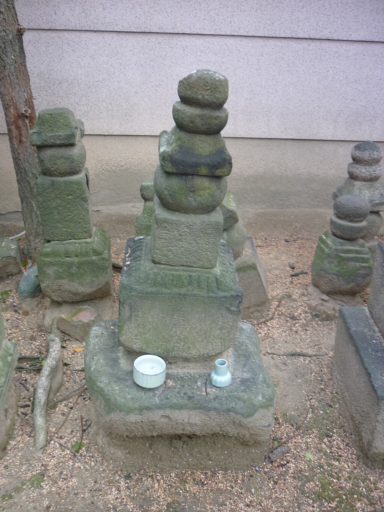 Shinkan-ji Tapınağı fotoğrafı