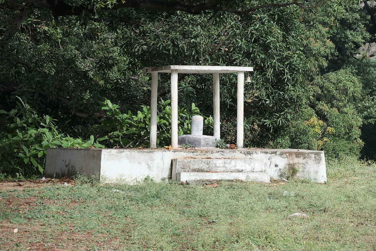 Lingam