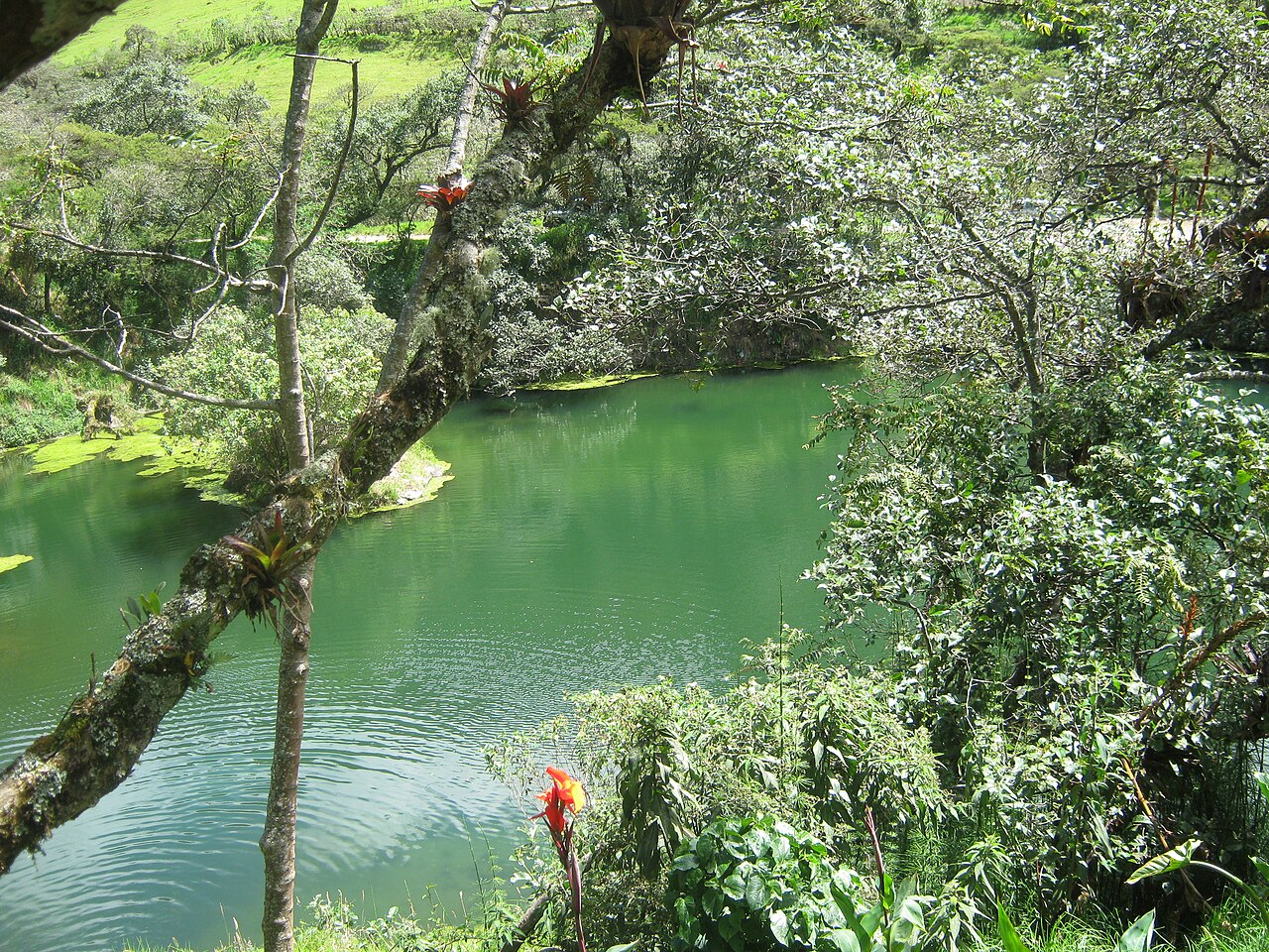 Agua Thermales fotoğrafı