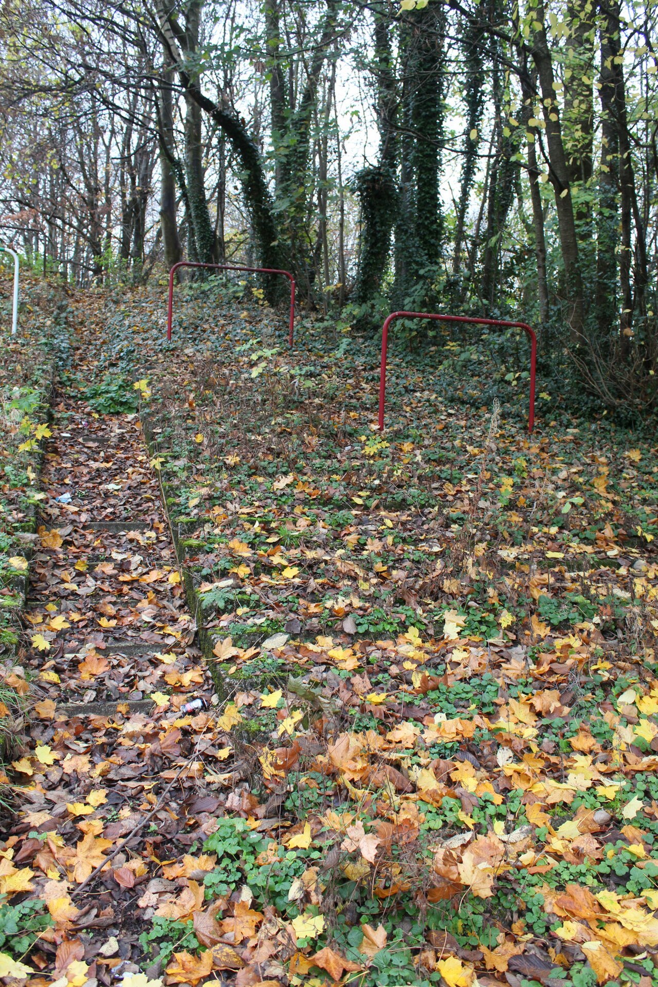 A photograph of Cathkin Park