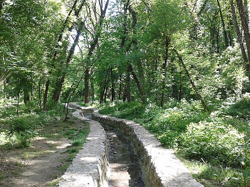 Banjica Forest