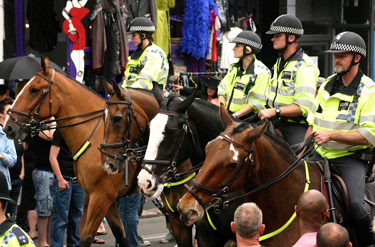 A photograph of Horse head