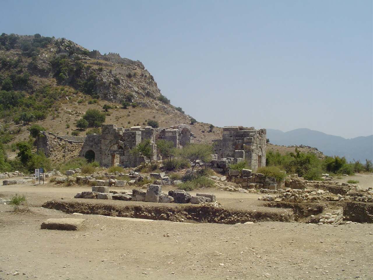 صورة كاونوس