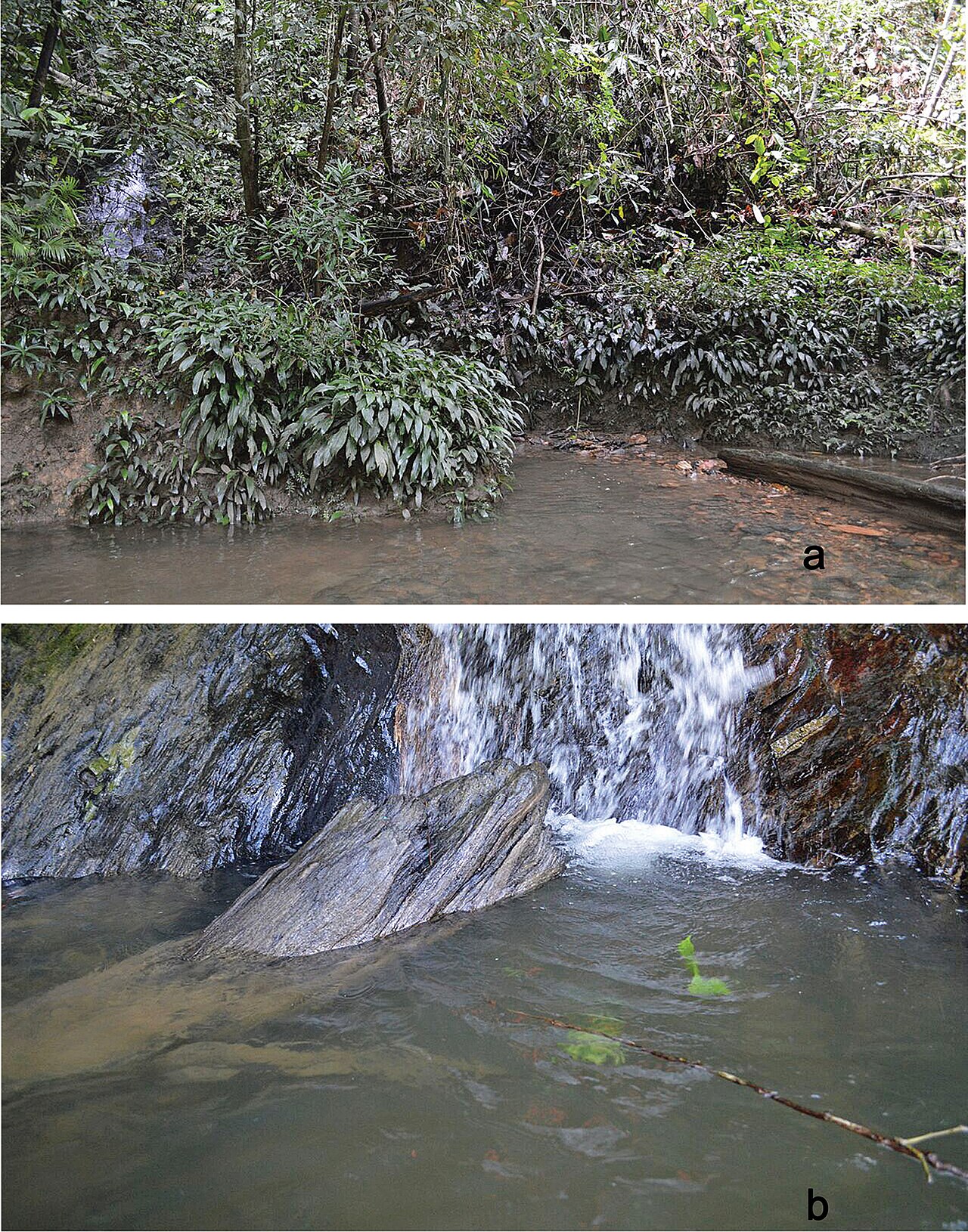 Ulu Park fotoğrafı