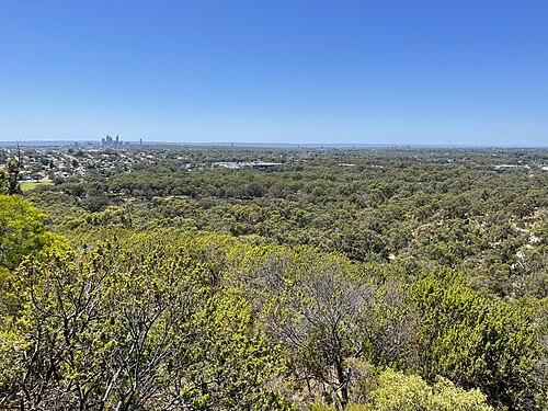 Reabold Hill