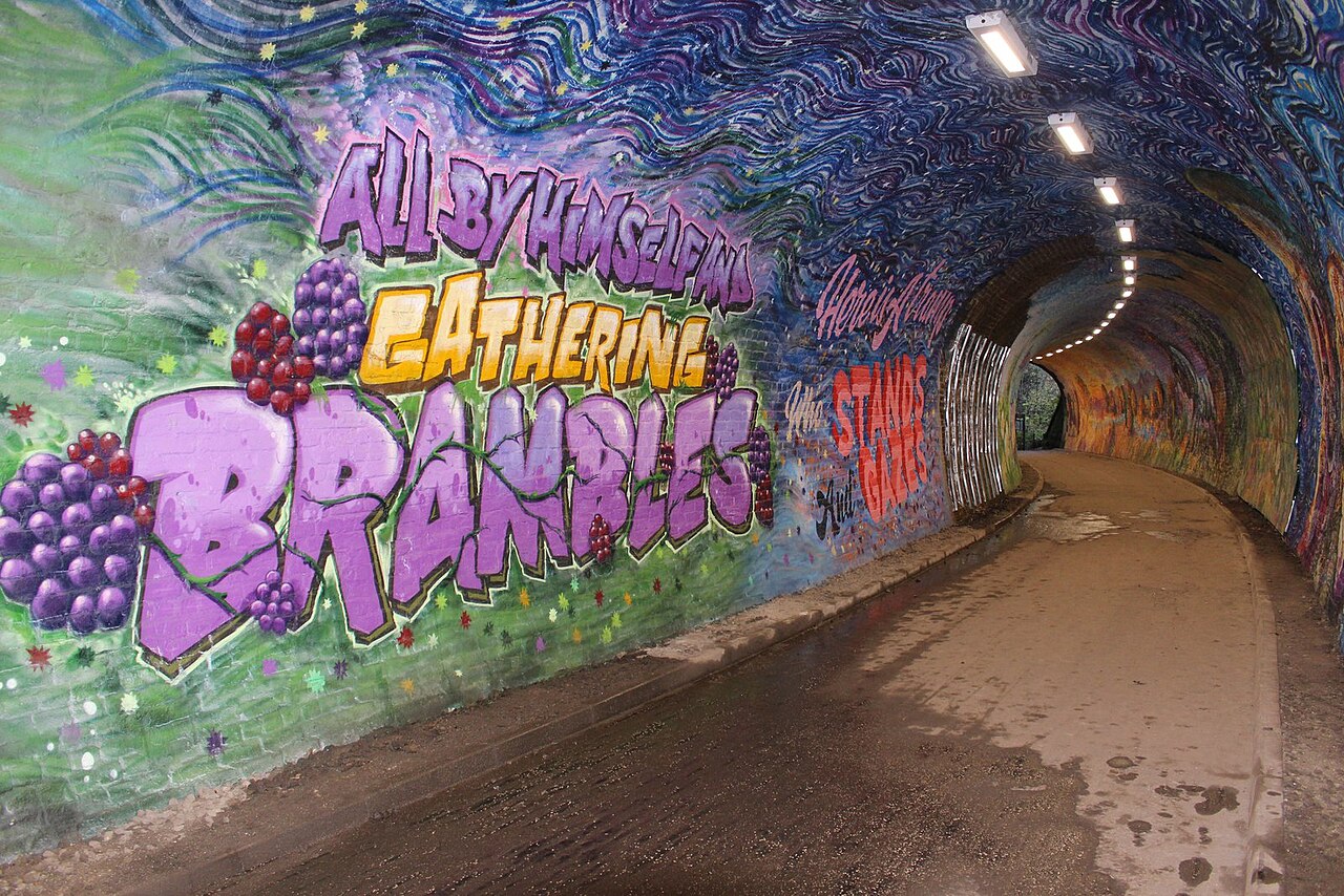 Colinton Tunnel の写真