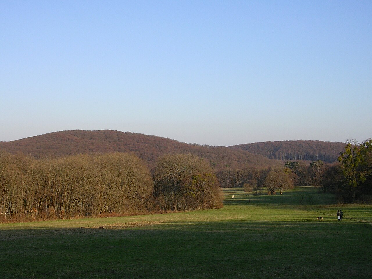 Michaelerberg