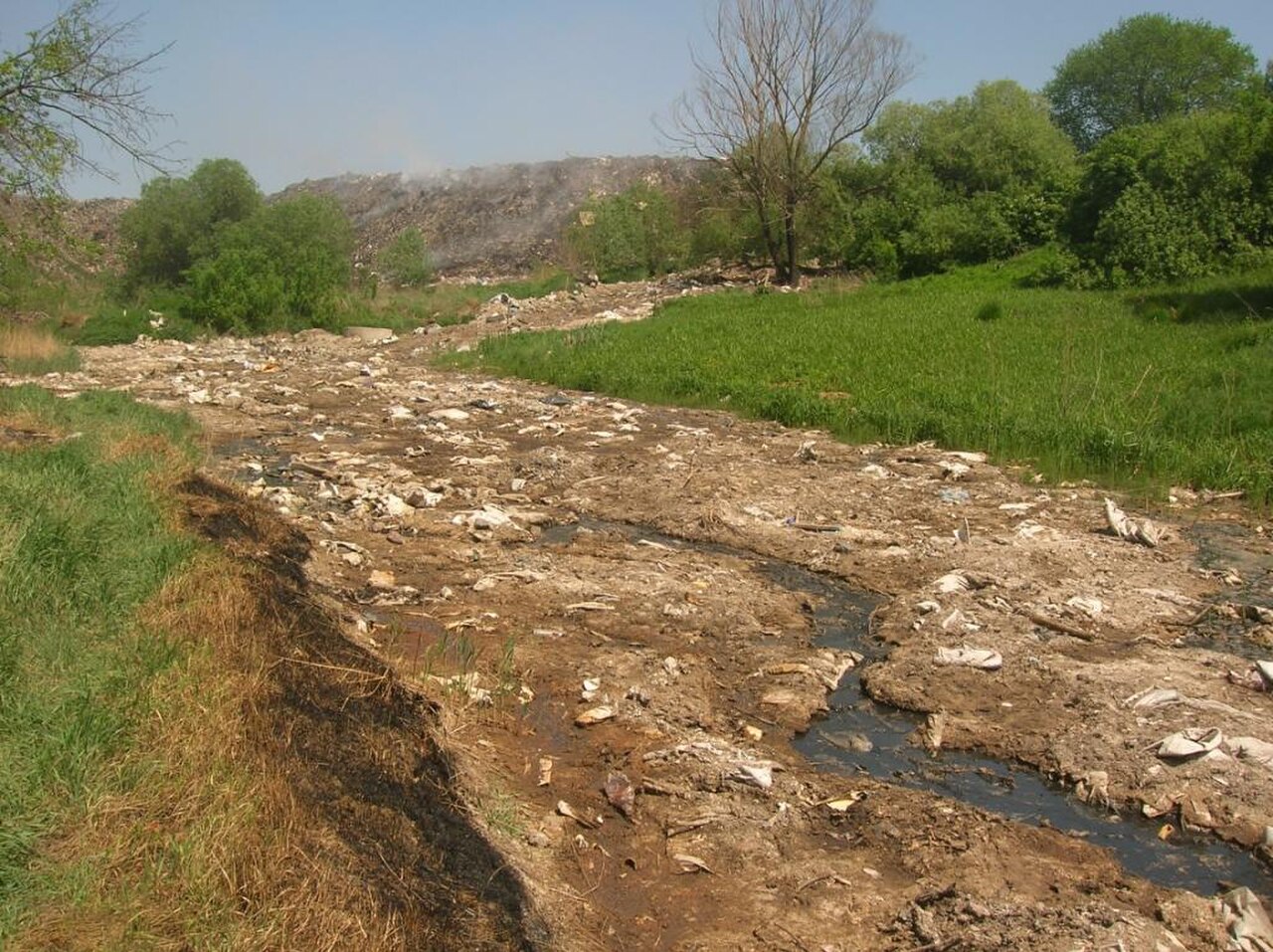 A photograph of Gully Reserve