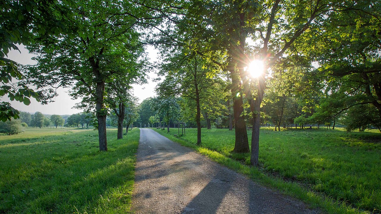 Una fotografia di Lainzer Tiergarten