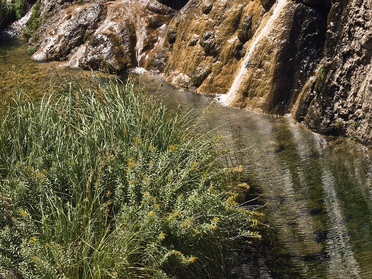 Bull Falls fotoğrafı