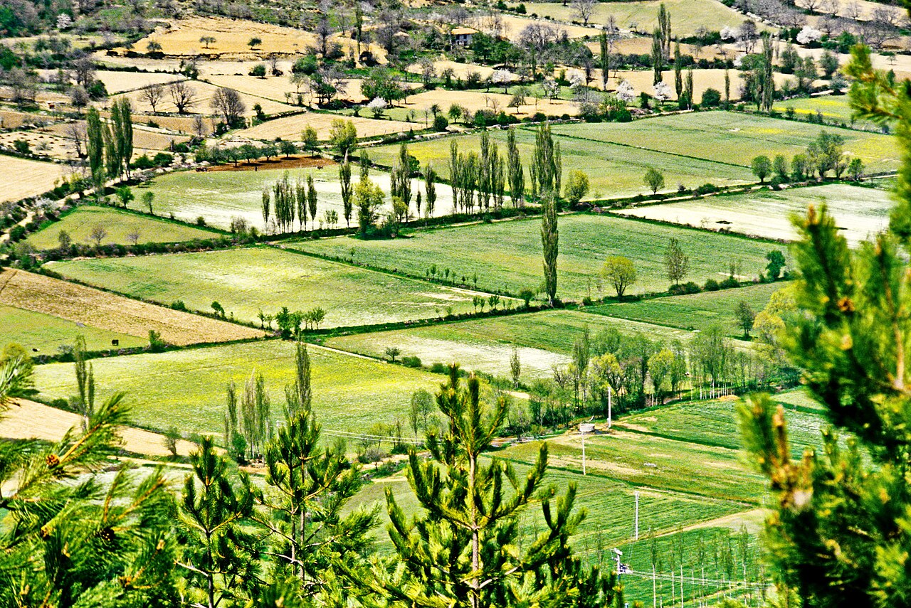Bozdağ fotoğrafı