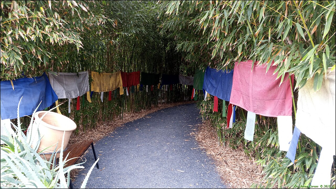 A photograph of ANIMA Jardin