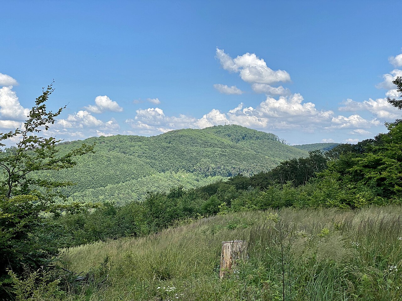A photograph of Hermannskogel