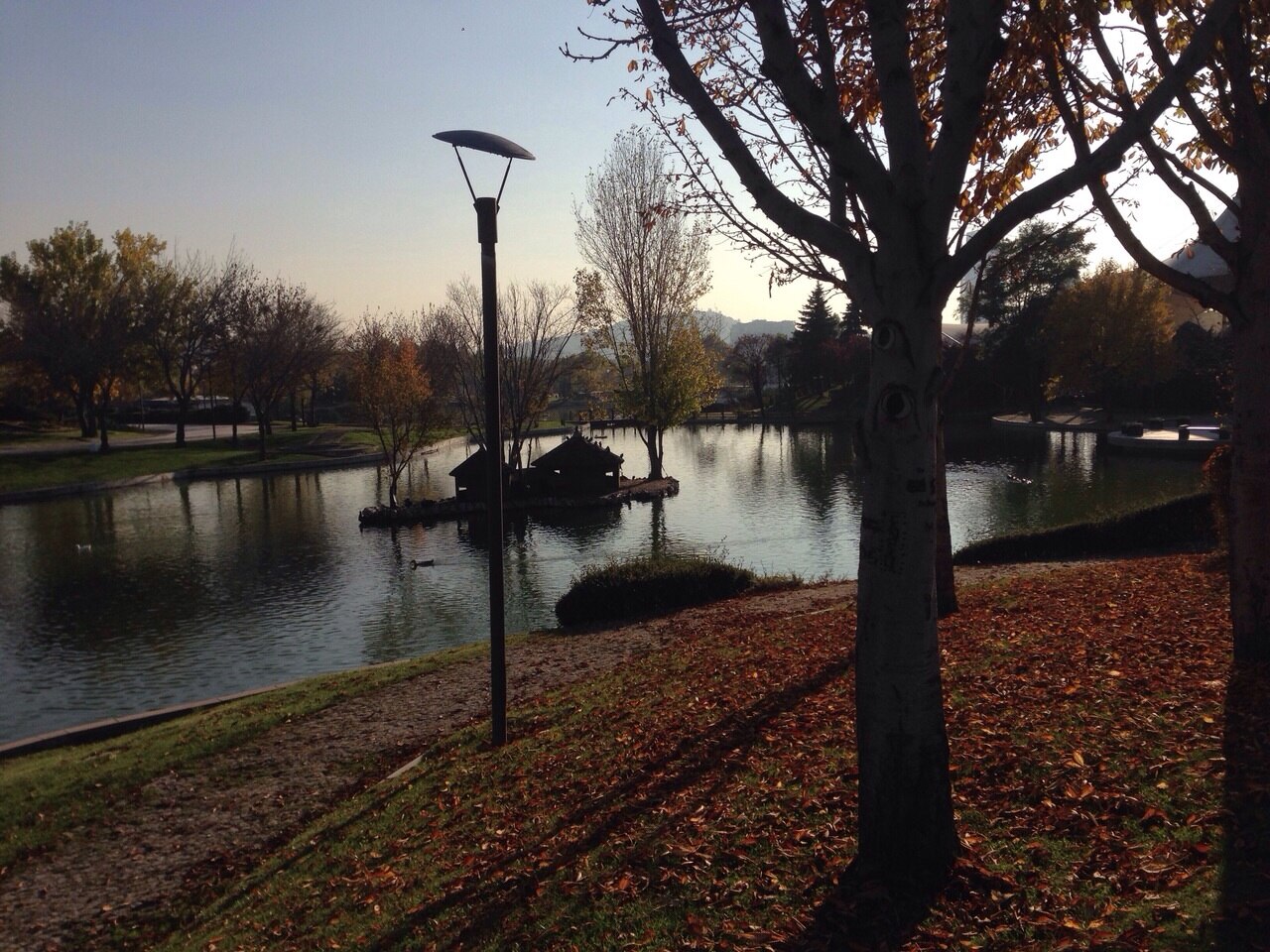 Una fotografia di Parco Altınpark