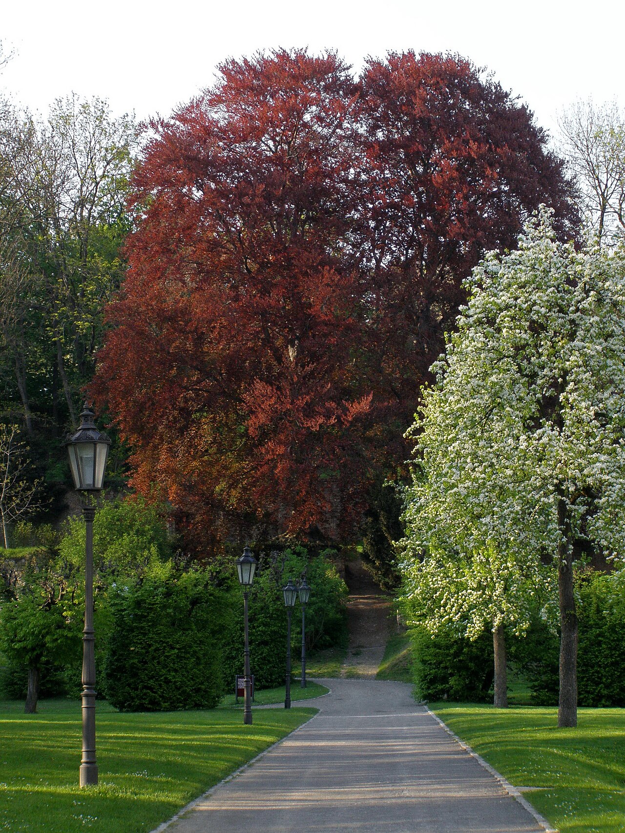 Jardín del monasterio de Břevnov