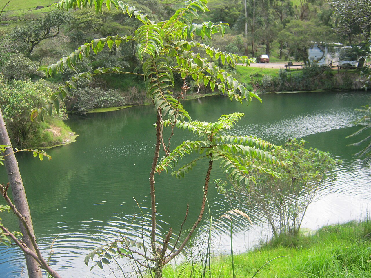 Agua Thermales fotoğrafı