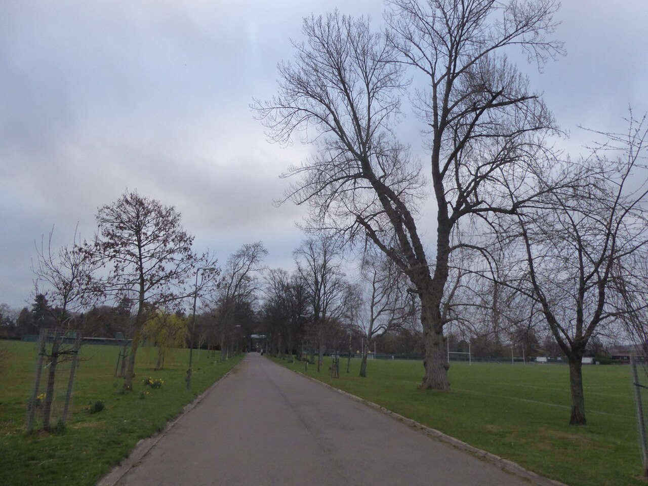 A photograph of Inverleith Park