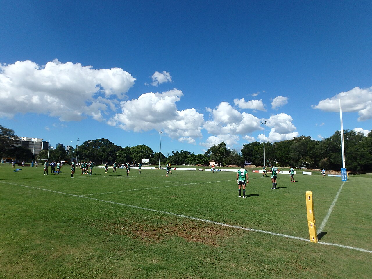 A photograph of Davies Park