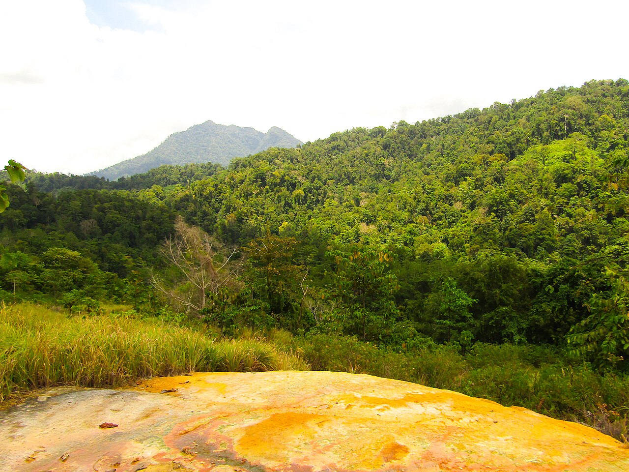 Bogani Park fotoğrafı