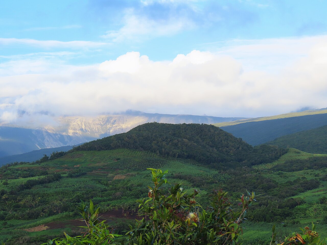 La Moka fotoğrafı